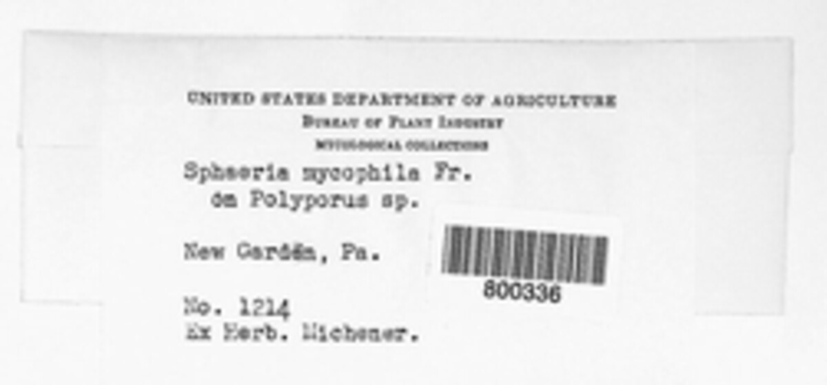 Sphaeria mycophila image
